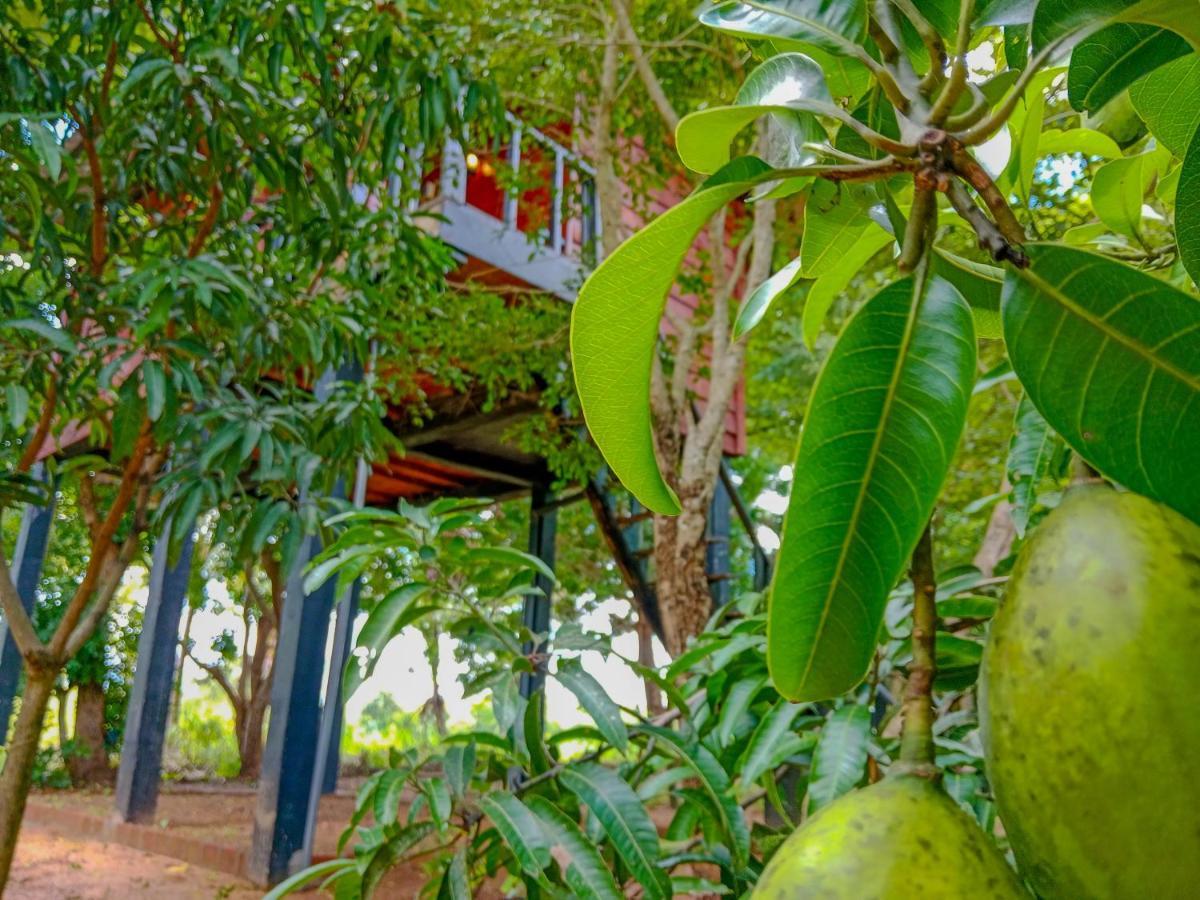 Ceylon Amigos Eco Resort Sigiriya Exterior photo
